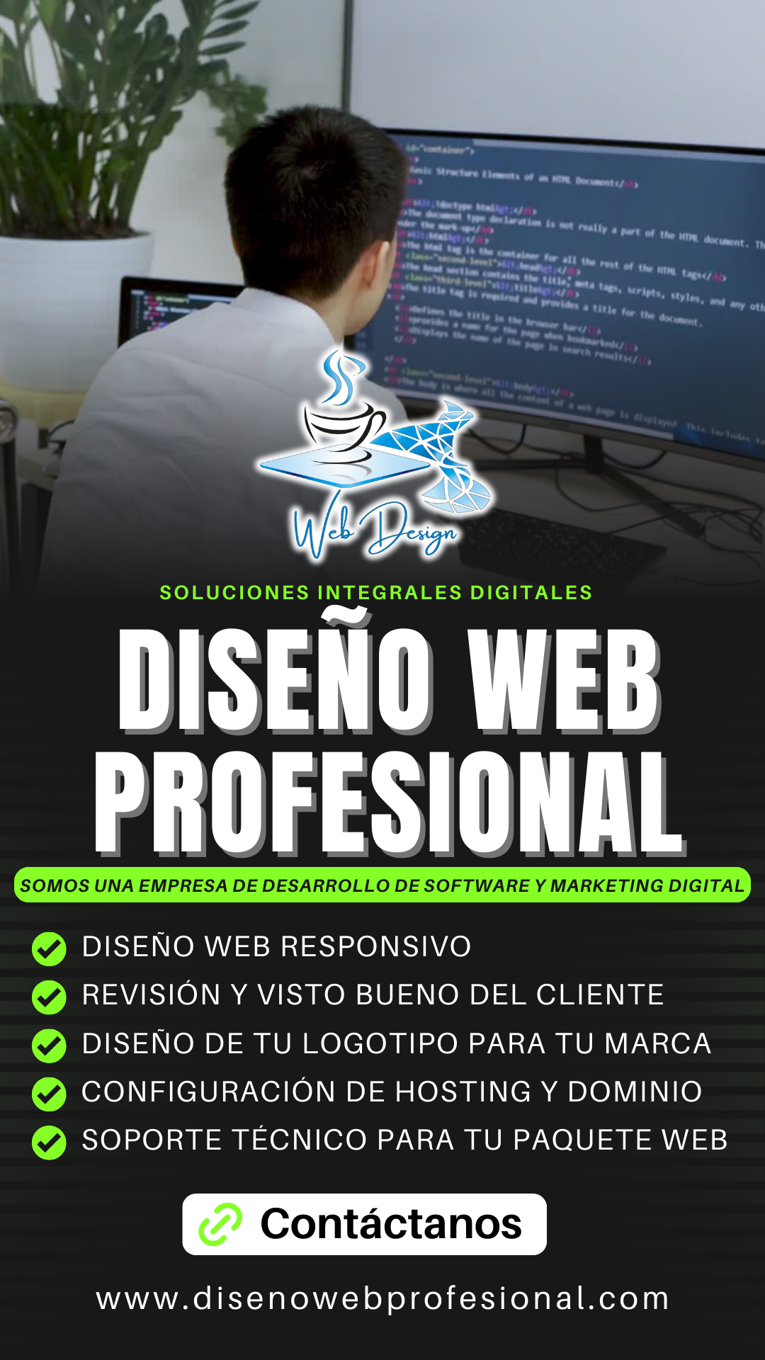 diseños web profesionales cdmx